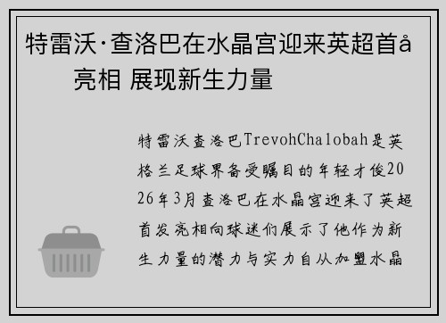 特雷沃·查洛巴在水晶宫迎来英超首发亮相 展现新生力量